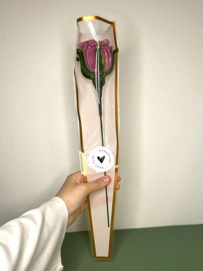 Rose Bloom