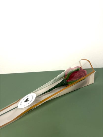 Rose Bloom