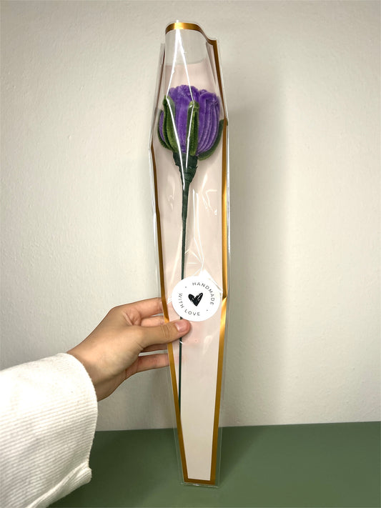Rose Bloom
